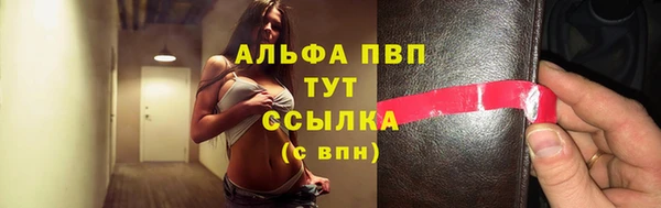 гашик Магас