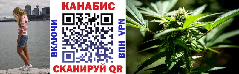 Шишки марихуана план  как найти наркотики  Прокопьевск 